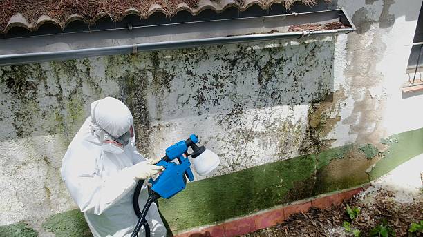 Top rated local Attic Mold Remediation specialists in Coburn, PA